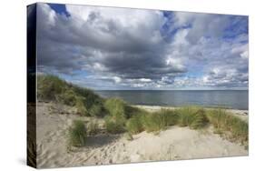 Cumulus Clouds over the Dunes of the Western Beach of Darss Peninsula-Uwe Steffens-Stretched Canvas