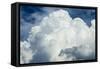 Cumulus Clouds Towering over the Sierra Nevada Mountains-Michael Qualls-Framed Stretched Canvas