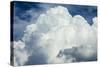 Cumulus Clouds Towering over the Sierra Nevada Mountains-Michael Qualls-Stretched Canvas