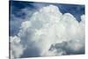 Cumulus Clouds Towering over the Sierra Nevada Mountains-Michael Qualls-Stretched Canvas