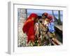 Cuna Indians, Rio Sidra, Island of Kuanidua, San Blas Archipelago, Panama, Central America-Bruno Morandi-Framed Photographic Print