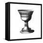 Cup, 1347-Henry Shaw-Framed Stretched Canvas