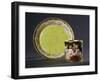 Cup and Plate Decorated with Plant Motifs-Anton Kothgasser-Framed Giclee Print