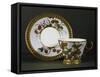 Cup and Saucer with Floral Decorations, Circa 1850-null-Framed Stretched Canvas