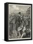 Cup Day at Ascot, the Masses and the Classes-Sydney Prior Hall-Framed Stretched Canvas