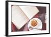 Cup of Hot Tea and Reading on a Blanket, Instagram Style Toned. Top View Point.-alenkasm-Framed Photographic Print