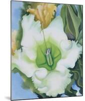 Cup of Silver Ginger, c.1939-Georgia O'Keeffe-Mounted Art Print