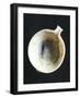 Cup with Spout in White Marble, from Syros, Greece-null-Framed Giclee Print