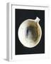 Cup with Spout in White Marble, from Syros, Greece-null-Framed Giclee Print