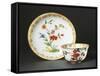 Cup Without Handle and Saucer with Blue Chinoiserie Decorations, 1725-null-Framed Stretched Canvas