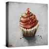 Cupcake 121-Roz-Stretched Canvas