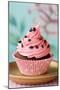 Cupcake-Ruth Black-Mounted Photographic Print