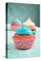 Cupcakes-pink candy-Stretched Canvas