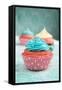 Cupcakes-pink candy-Framed Stretched Canvas