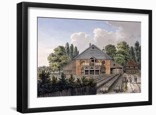 Cuper's Gardens, Lambeth, London, 1801-Charles Tomkins-Framed Giclee Print