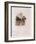 Cupid and Lover Lamenting the Death of a Loved One, C1802-C1857-Thomas Uwins-Framed Giclee Print