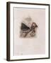 Cupid and Lover Lamenting the Death of a Loved One, C1802-C1857-Thomas Uwins-Framed Giclee Print