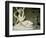 Cupid and Psyche, 1796-Antonio Canova-Framed Premium Giclee Print