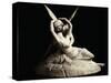 Cupid and Psyche by Antonio Canova-null-Stretched Canvas