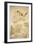 Cupid and Psyche-Lionel Noel Royer-Framed Giclee Print