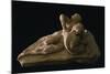 Cupid and Psyche-Antonio Canova-Mounted Giclee Print