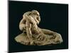 Cupid and Psyche-Antonio Canova-Mounted Giclee Print