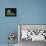 Cupid and Psyche-Antonio Canova-Premium Giclee Print displayed on a wall
