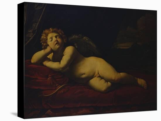 Cupid Asleep-Guido Reni-Stretched Canvas