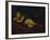 Cupid Asleep-Guido Reni-Framed Giclee Print