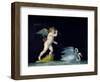 Cupid Being Led by a Pair of Swans-Michelangelo Maestri-Framed Giclee Print