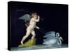 Cupid Being Led by a Pair of Swans-Michelangelo Maestri-Stretched Canvas