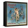 Cupid Brand - Fillmore, California - Citrus Crate Label-Lantern Press-Framed Stretched Canvas