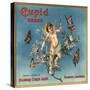 Cupid Brand - Fillmore, California - Citrus Crate Label-Lantern Press-Stretched Canvas