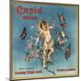 Cupid Brand - Fillmore, California - Citrus Crate Label-Lantern Press-Mounted Art Print