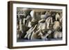 Cupid Charioteers Racing at Circus, Relief from Sarcophagus BC-null-Framed Giclee Print