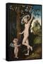 Cupid Complaining to Venus, C. 1525-Lucas Cranach the Elder-Framed Stretched Canvas