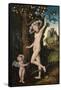 Cupid Complaining to Venus, C. 1525-Lucas Cranach the Elder-Framed Stretched Canvas