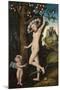 Cupid Complaining to Venus, C. 1525-Lucas Cranach the Elder-Mounted Giclee Print