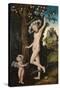 Cupid Complaining to Venus, C. 1525-Lucas Cranach the Elder-Stretched Canvas