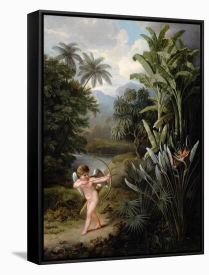 Cupid Inspiring the Plants with Love, Painted for Robert Thornton's Book 'New Illustration of the…-Philip Reinagle-Framed Stretched Canvas