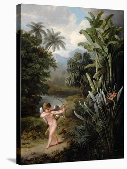 Cupid Inspiring the Plants with Love, Painted for Robert Thornton's Book 'New Illustration of the…-Philip Reinagle-Stretched Canvas