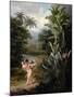 Cupid Inspiring the Plants with Love, Painted for Robert Thornton's Book 'New Illustration of the…-Philip Reinagle-Mounted Giclee Print