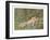 Cupid Lying on Grass-null-Framed Art Print