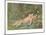 Cupid Lying on Grass-null-Mounted Art Print