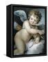 Cupid-William Hoare-Framed Stretched Canvas