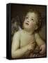 Cupid-Anton Raphael Mengs-Framed Stretched Canvas