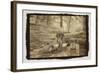 Cupids Table-Theo Westenberger-Framed Photographic Print