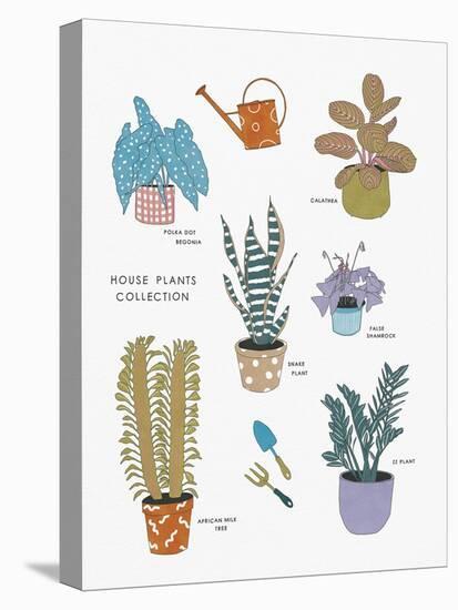 Curated Collections - Plants-Archie Stone-Stretched Canvas