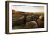 Curbar Edge, at sunrise on a frosty winter morning, Peak District National Park, Derbyshire, Englan-Eleanor Scriven-Framed Photographic Print