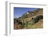 Curbar Edge, Derbyshire-Peter Thompson-Framed Premium Photographic Print